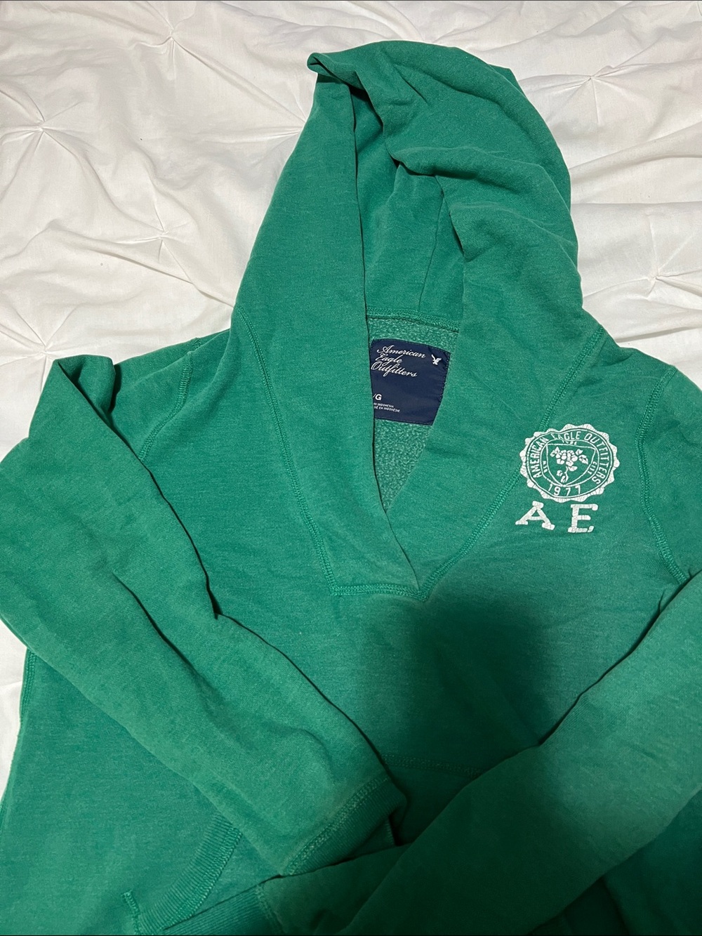 American Eagle Outfitters Green V-Neck Hooded Sweater with Logo